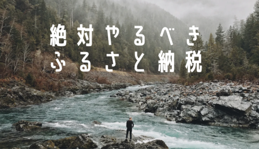 「超お得」絶対やるべきふるさと納税！！おすすめ商品も紹介！